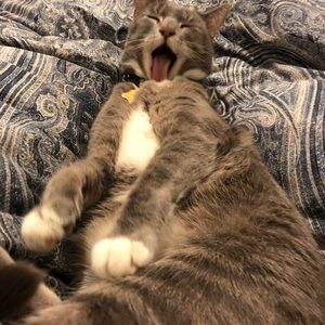 Meet your Posher, Scott